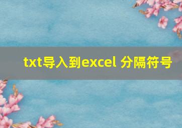 txt导入到excel 分隔符号